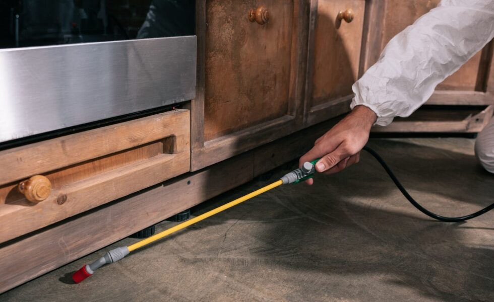 أفضل شركة لرش البعوض