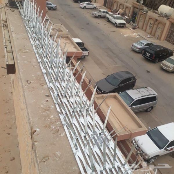 افضل شركة مكافحة الحمام