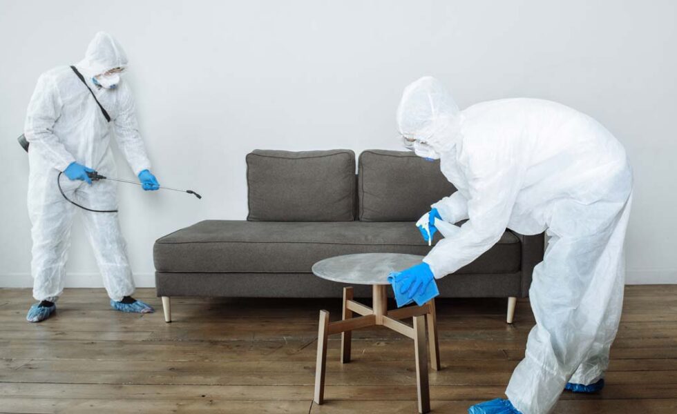 افضل شركة مكافحة الرمة