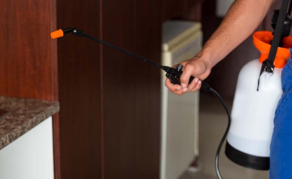 خدمات شركة مكافحة البعوض