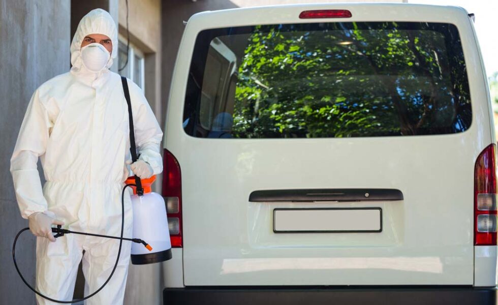 رش ومكافحة النمل الأسود 