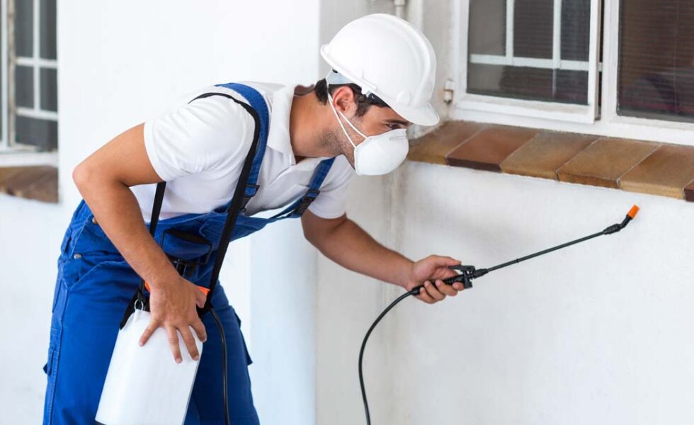 شركة مكافحة البرص