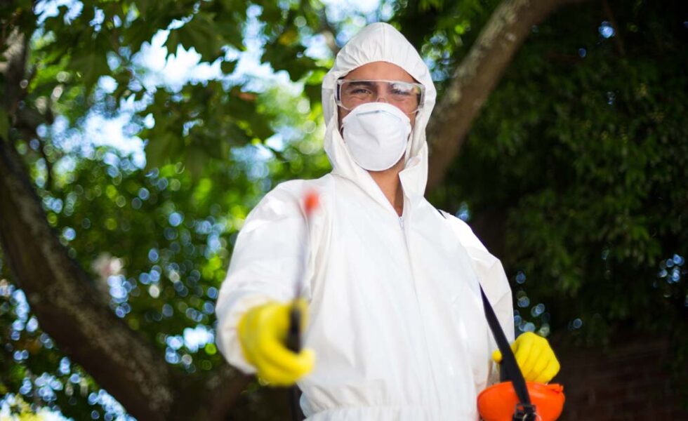 شركة مكافحة الرمة