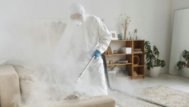 خدمات شركة مكافحة الحشرات