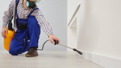 شركة مكافحة الرمة بأسعار تنافسية