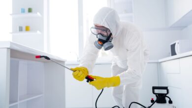 شركة مكافحة النمل الأسود في ام القيوين