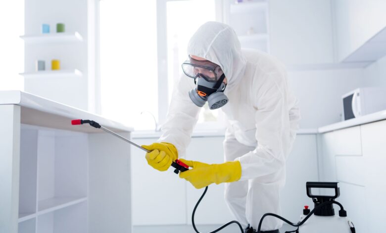 شركة مكافحة النمل الأسود في ام القيوين