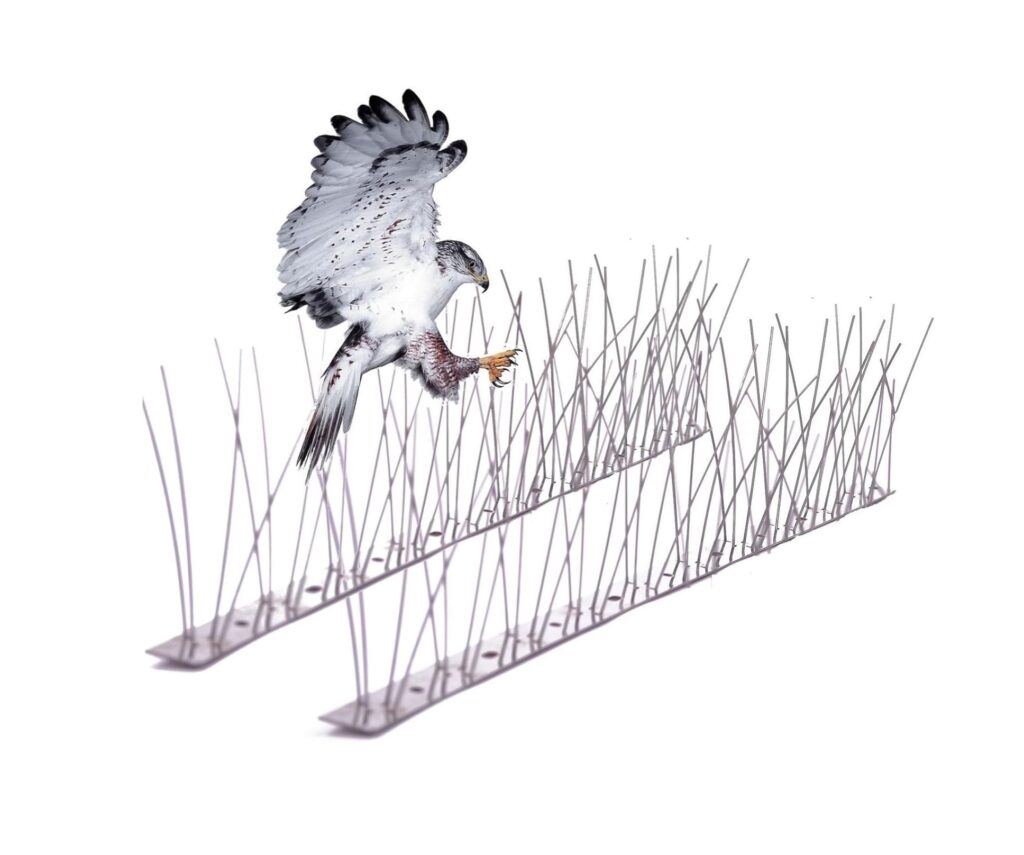 أحسن شركة طارد الحمام في ابوظبي