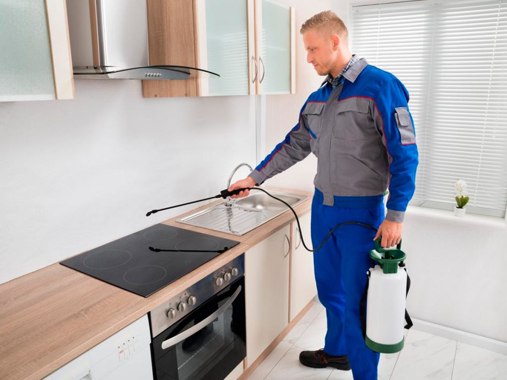 احسن شركات مكافحة الحشرات 