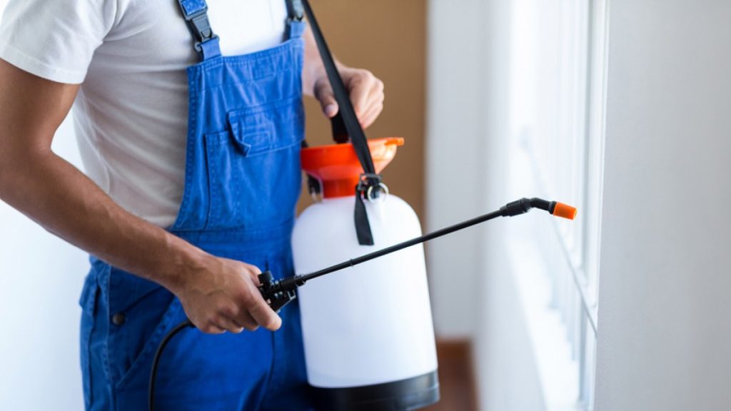 افضل شركات رش الحشرات