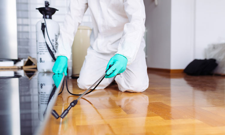 خدمات المكافحة التي تقدمها شركة لبخ الحشرات