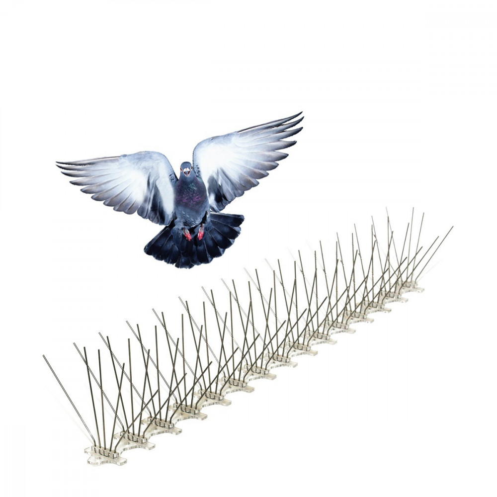 خدمات شاملة تقدمها شركة طارد الحمام ام القيوين