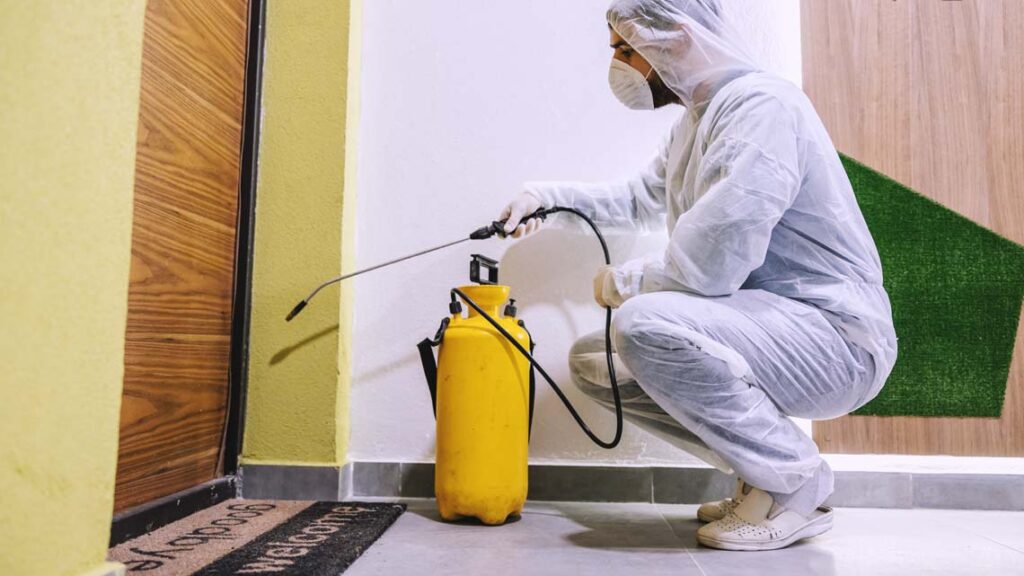 رقم شركة مكافحة الحشرات