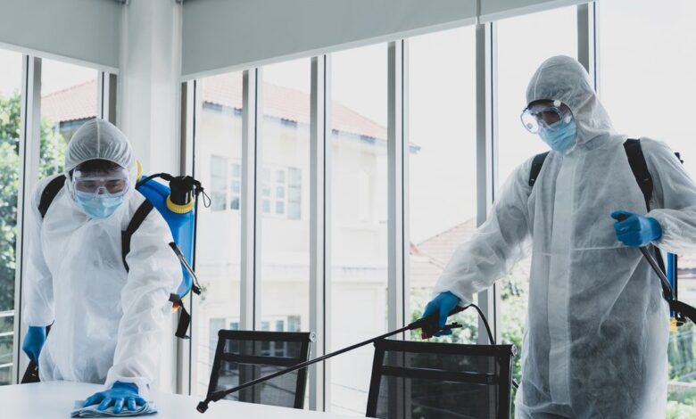 افضل شركة حشرات