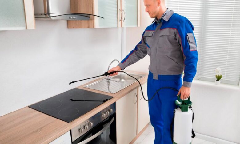 اقرب شركة مكافحة النمل الأسود في راس الخيمة