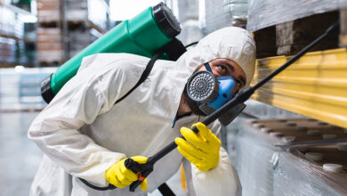 تجربتي مع شركة مكافحة الحشرات