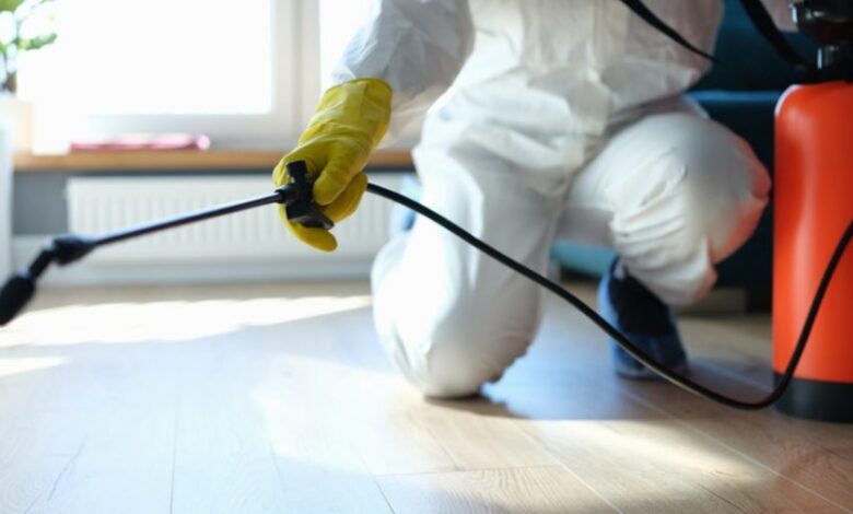 تنظيف الحشرات في المنزل