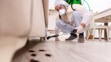 رقم مكافحة الحشرات