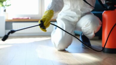 شركات تنظيف المنازل من الحشرات
