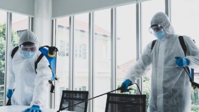 شركات رش الحشرات