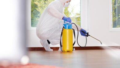 شركات مكافحة الصراصير