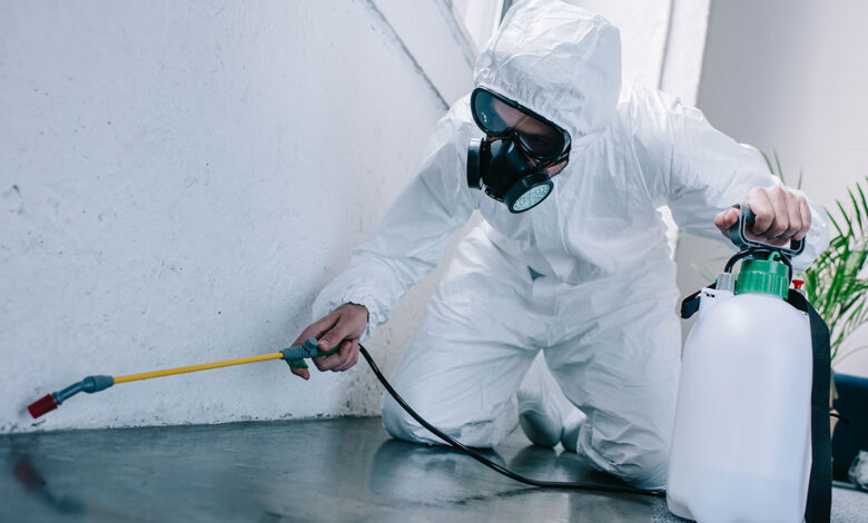 شركة تعقيم من الحشرات