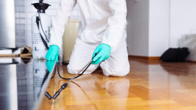 شركة رش مبيدات