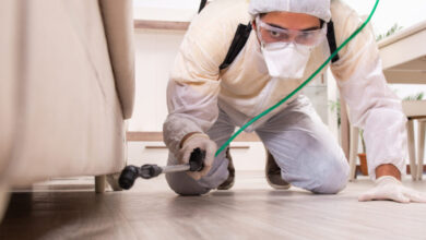 شركة رش مبيدات حشرية