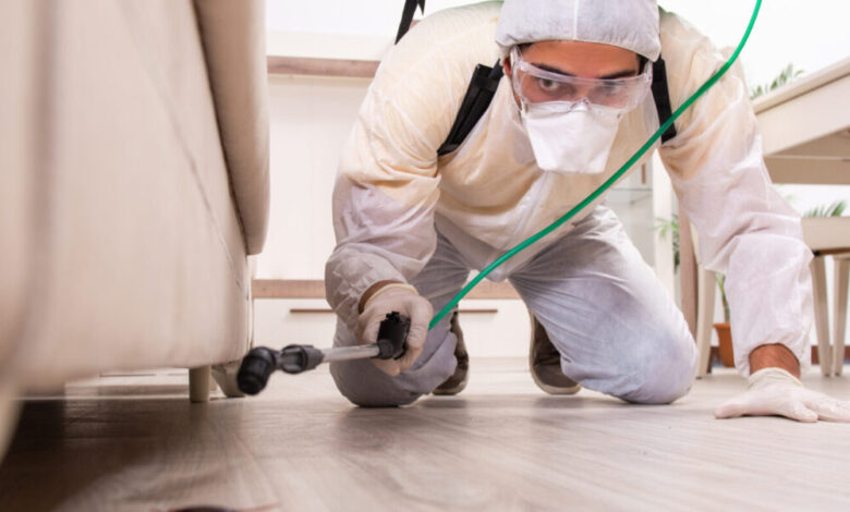 شركة رش مبيدات حشرية