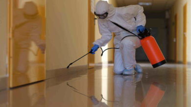 شركة مكافحة البرص في عجمان