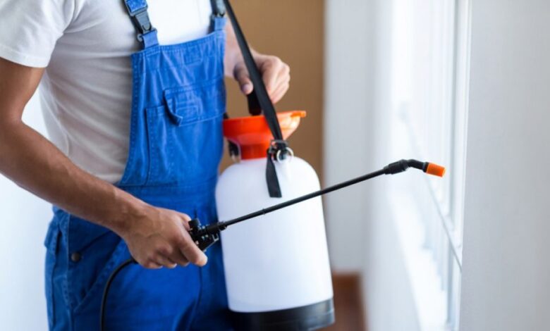 شركة مكافحة الحشرات المنزلية