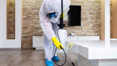 شركة مكافحة السحالي في ام القيوين